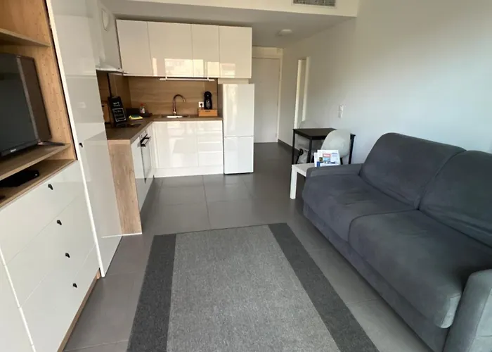 Appartement Avec Parking Gratuit Menton * 芒通